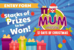 12-Days-of-Christmas-Entry-Form