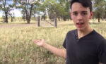 Bogan-Gate