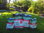 Munns-Golf-Course-Green-Review