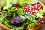 Lettuce-Recall