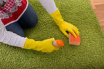 carpet-stain-removal