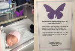 butterfly-logo-incubator