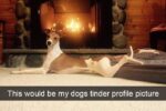 dogs of snapchat