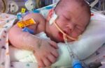fedisbest-baby-landon