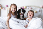 most popular pet names