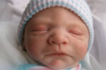 Shelleys Reborns dolls