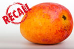 mango recall South Australia