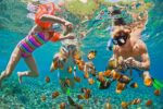 family bucket list activities