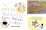 how babies are made book