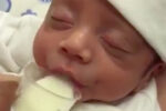 cup feeding newborn video