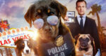 Show Dogs movie warning