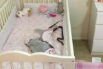 eastern brown snake in cot