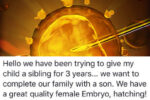 gender selection mum trades girl embryo