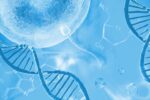 multiple miscarriage and sperm health