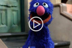 Grover f-bomb