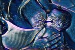 tree of life breastfeeding picture