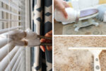 Spring cleaning tips