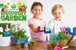 Discovery Garden Collectables, woolworths promotion