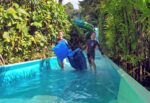 Duelling racer waterslide Adventue Cove Singapore Sentosa with kids