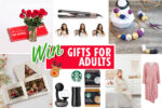 adult gift guide