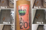 toilet paper roll cleaning hack