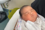 Victoria's biggest baby - Willow