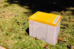 kmart box