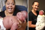 round up of big babies