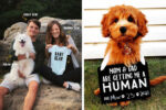 pregnancy announcements