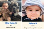 BONDS Baby Search