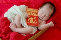 year of the ox chinese zodiac 2021