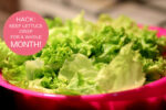 how to store lettuce