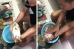 how to bathe a baby