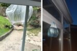 fly hack