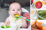 puree recipes