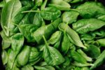 contaminated spinach