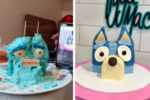 Bluey-Mud-Cake-Fail