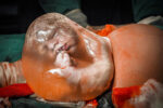 birth photography 2023 - overall winner