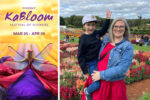 tesselaar-kabloom-festival-of-flowers