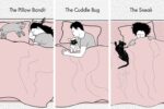 pet sleeping positions from Itchpet