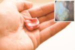 what happens if child swallows gum