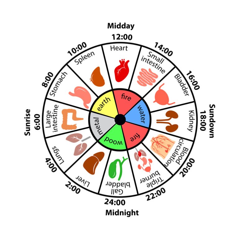 Awake at Night? The Answer May Lie in the Chinese Body Clock
