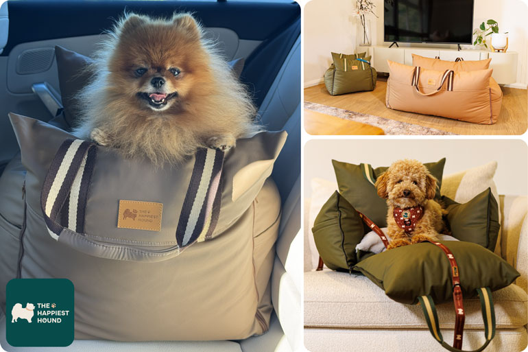 Boujee Booster Seat from The Happiest Hound