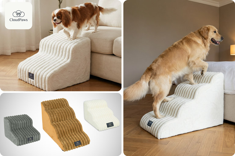 CloudPaws Comfort Stairs for dogs