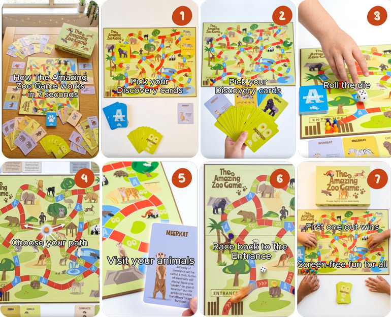 The Amazing Zoo Game Step by Step Gameplay
