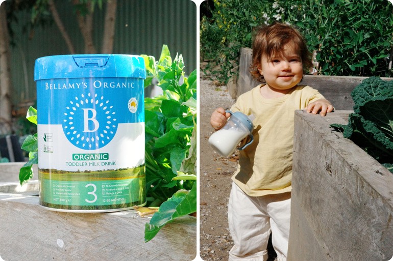 Bellamy's Organic Toddler Milk Drink won gold at the Australian Organic Industry Awards